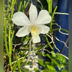 Elegant Real White Orchid Pendant Necklace Preserved in Resin.